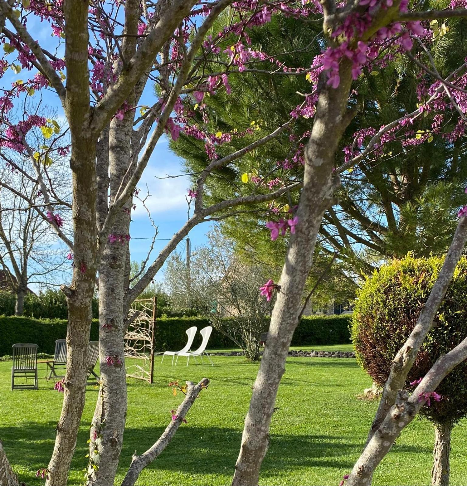 Gite Et Studios Les Barongeres Farges-les-Chalon المظهر الخارجي الصورة