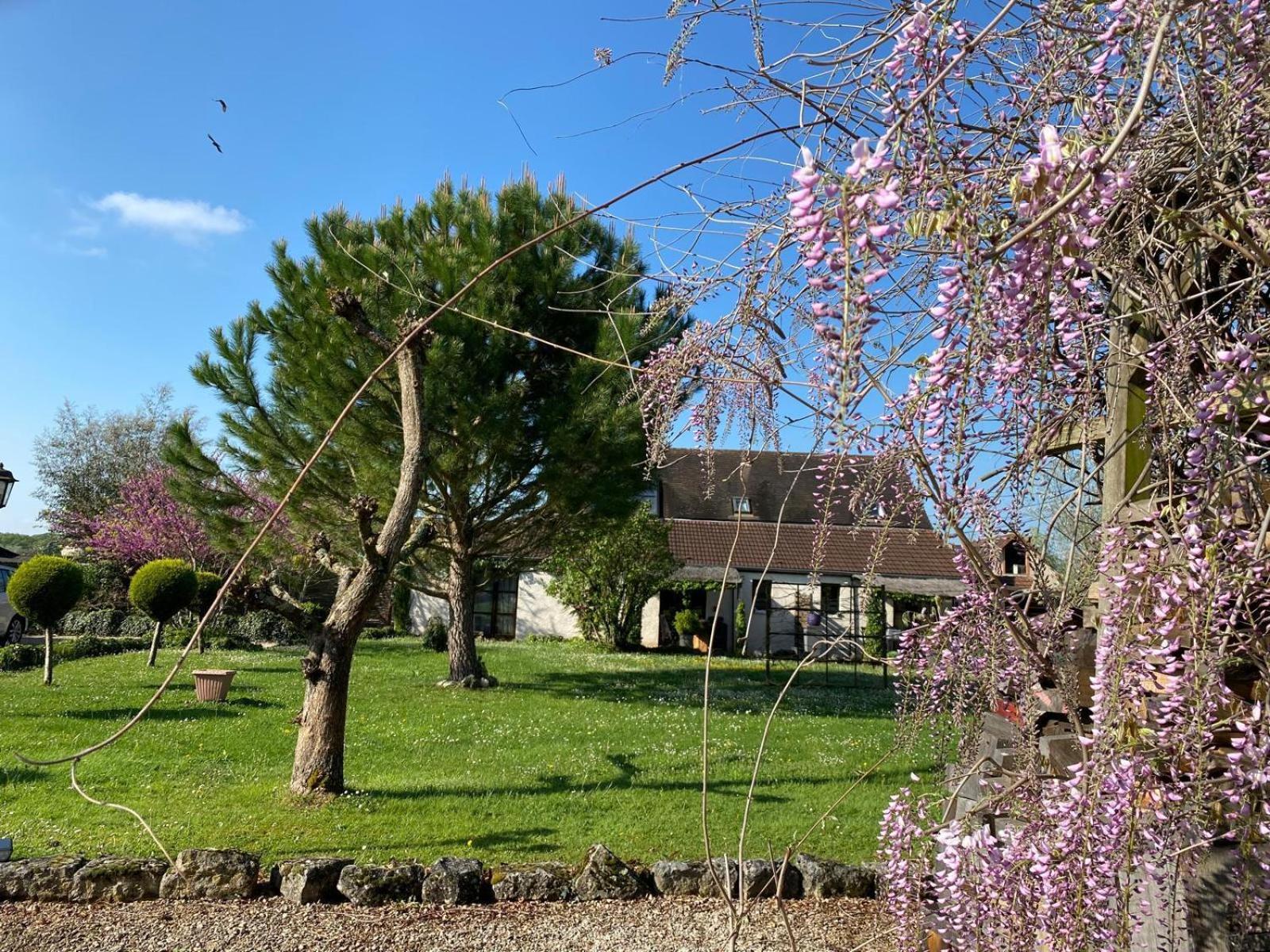 Gite Et Studios Les Barongeres Farges-les-Chalon المظهر الخارجي الصورة