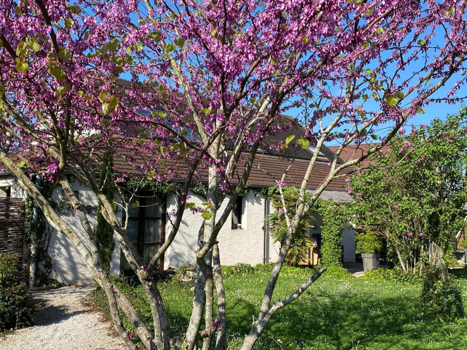 Gite Et Studios Les Barongeres Farges-les-Chalon المظهر الخارجي الصورة