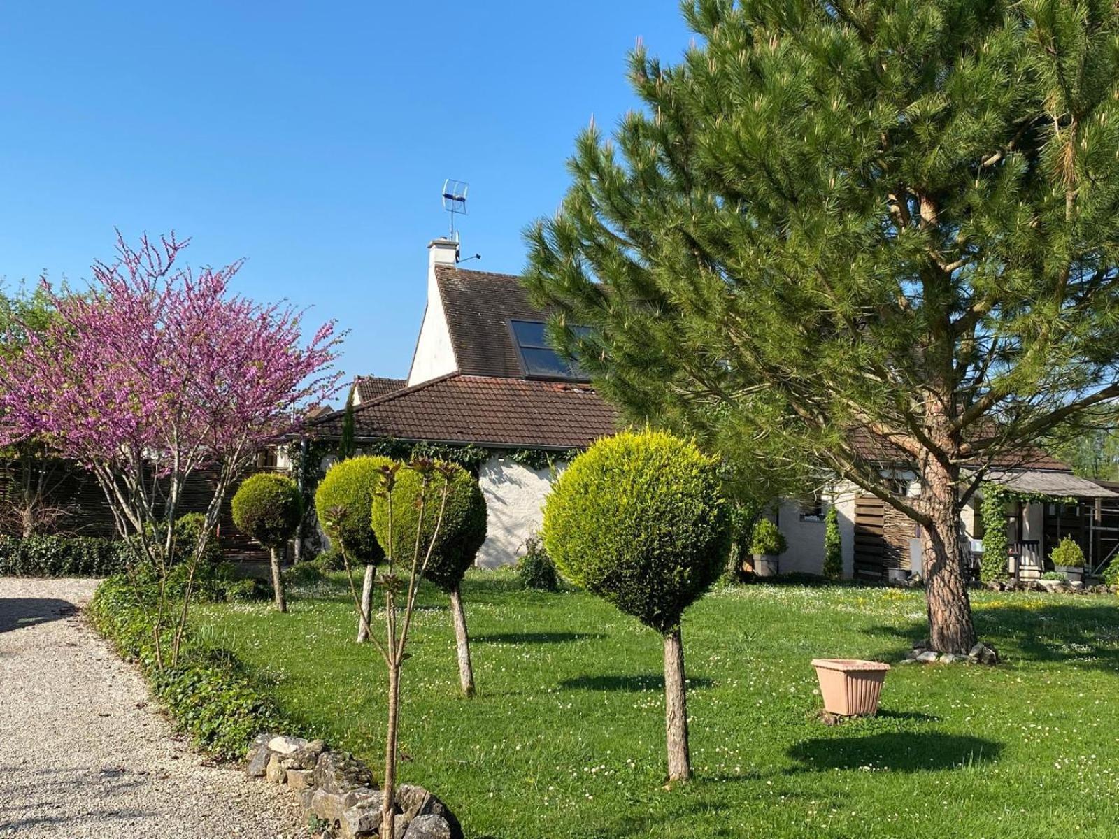 Gite Et Studios Les Barongeres Farges-les-Chalon المظهر الخارجي الصورة