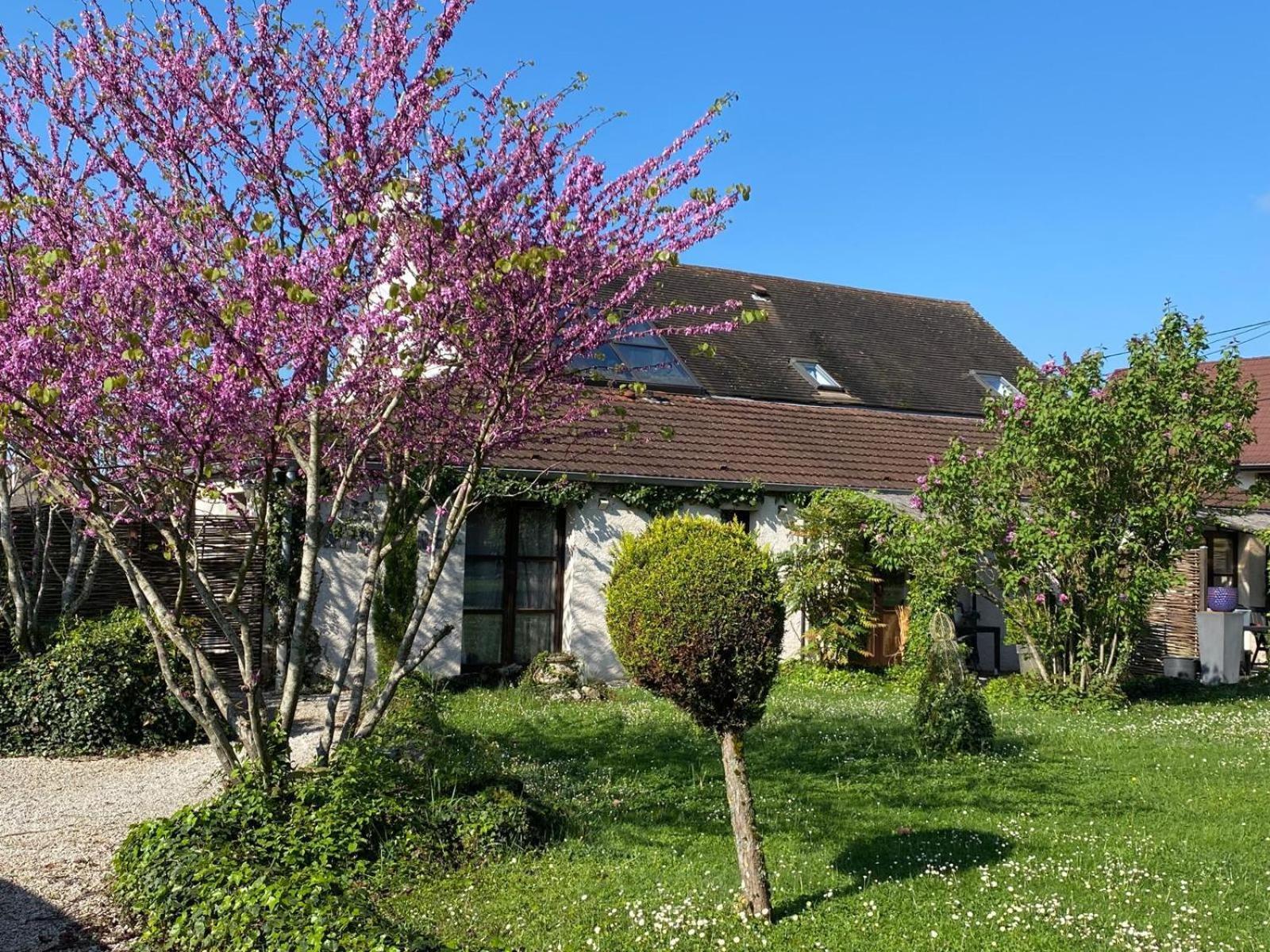 Gite Et Studios Les Barongeres Farges-les-Chalon المظهر الخارجي الصورة